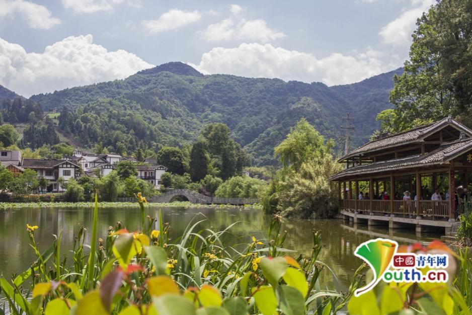 【美丽中国长江行】贵州湄潭：茶叶托起农民致富梦想