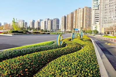 繁花靓街头 盛妆年味浓