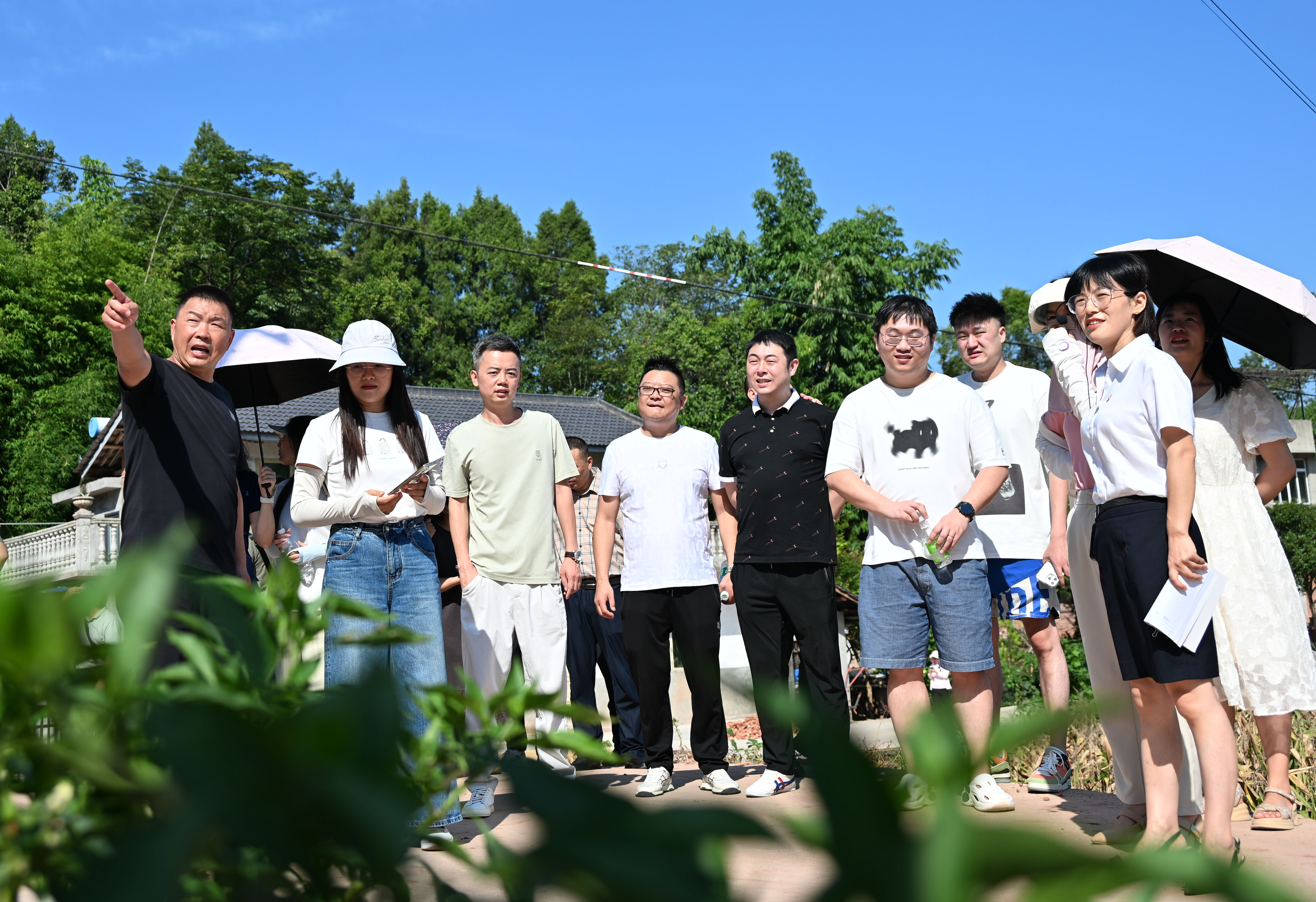 内江东兴区平坦镇：驻村干部“互学互鉴互进”促振兴