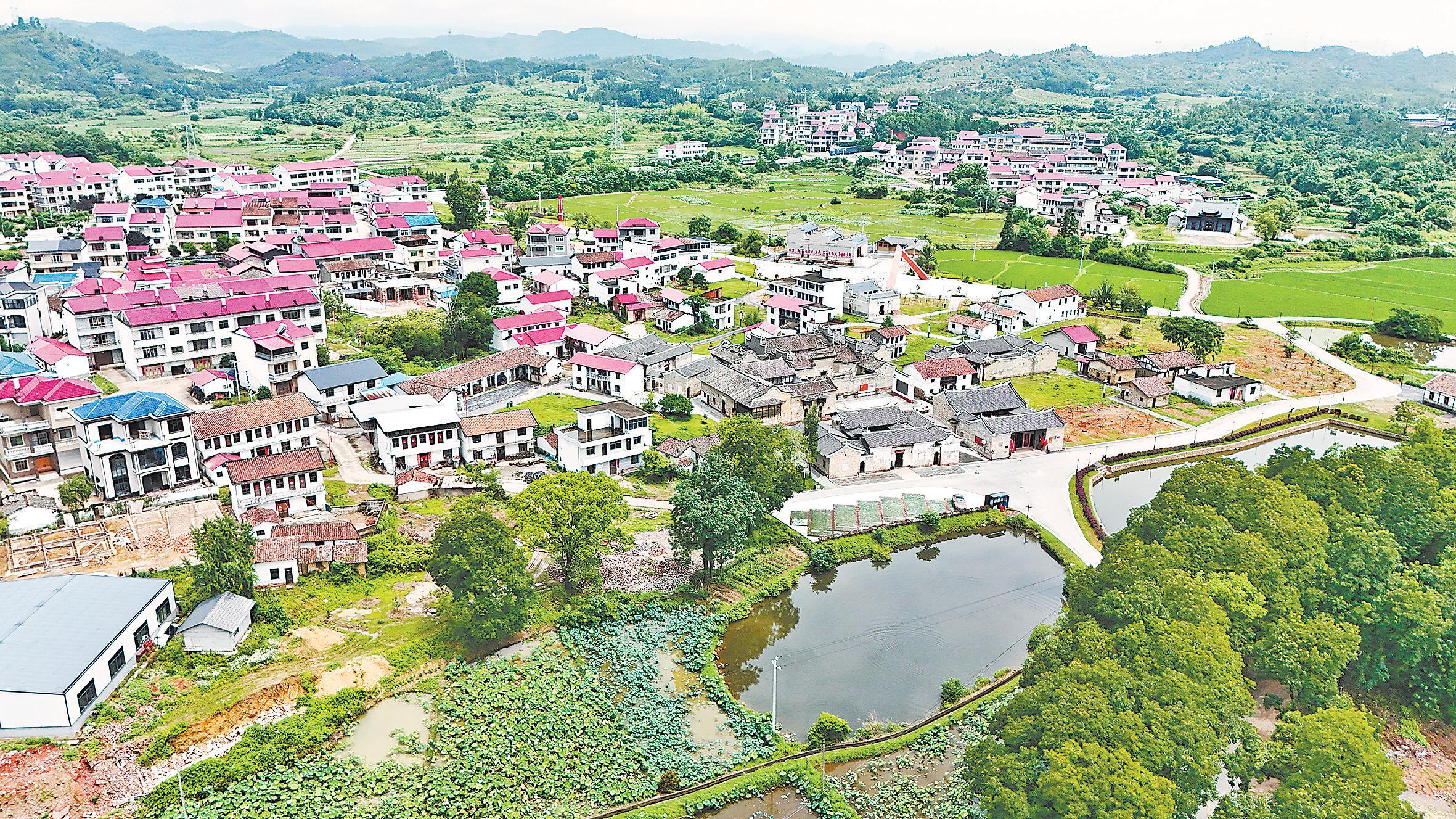 烽火留痕处 莲扇产业兴 ——广昌甘竹镇罗家村的“融”变之路