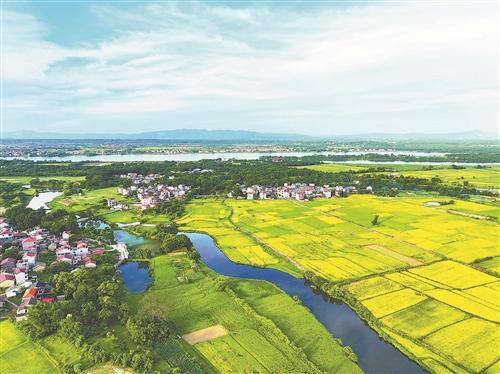 碧水润沃野