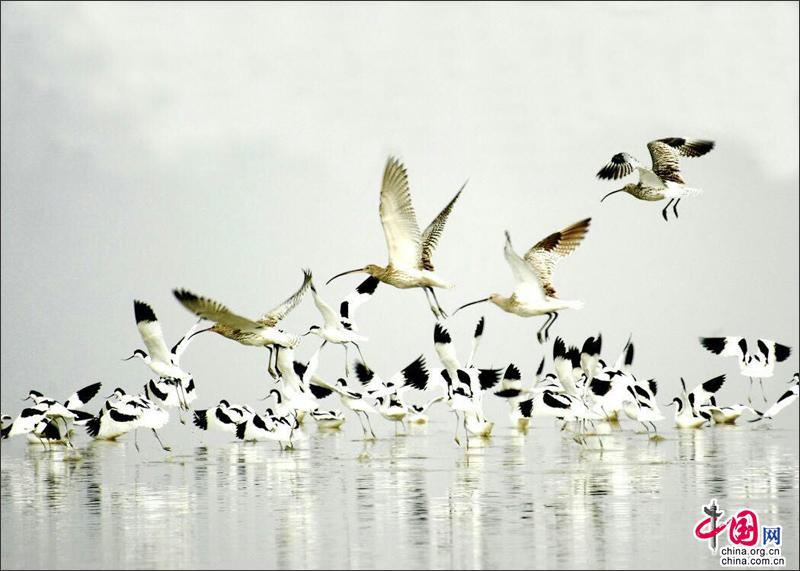 【美丽中国长江行】李爱武:搭建平台创新机制强化保障 守护好碧水清波