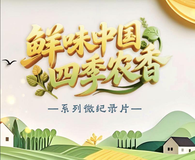 走，赴一场南阳月季之约