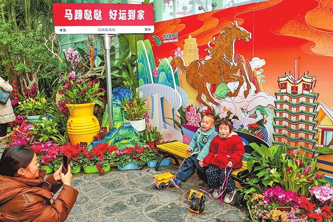 郑州植物园温室内花香四溢