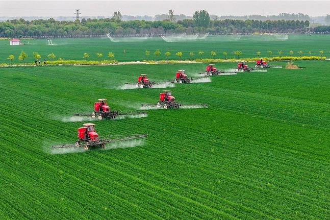 邓州开展小麦“一喷三防”作业