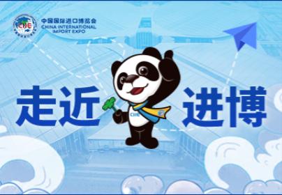 走进进博会系列报道