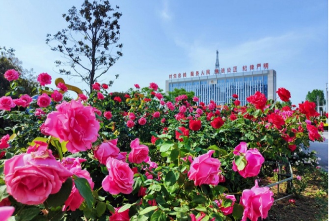 河南南阳镇平：下足“绣花功” 城市细节尽显温度