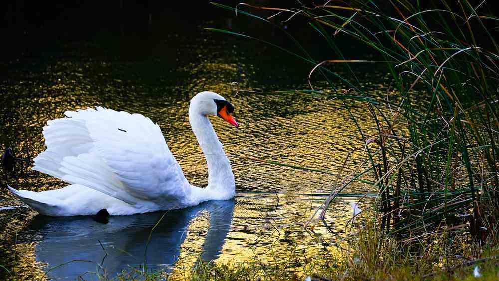 邂逅初冬，漫步郑州