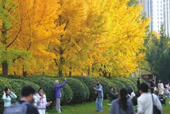 “郑州之林”色彩斑斓